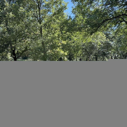  Résidences 81 : Maison / Villa | PUYGOUZON (81120) | 156 m2 | 139 100 € 