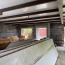  Résidences 81 : Terrain | ALBI (81000) | 0 m2 | 35 000 € 