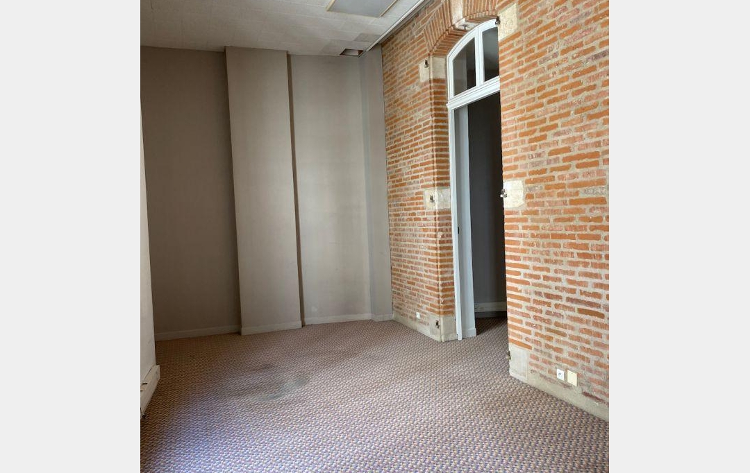 Résidences 81 : Other | ALBI (81000) | 145 m2 | 950 € 