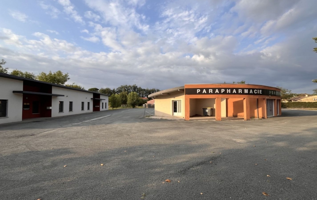 Résidences 81 : Local / Bureau | ALBI (81000) | 80 m2 | 950 € 