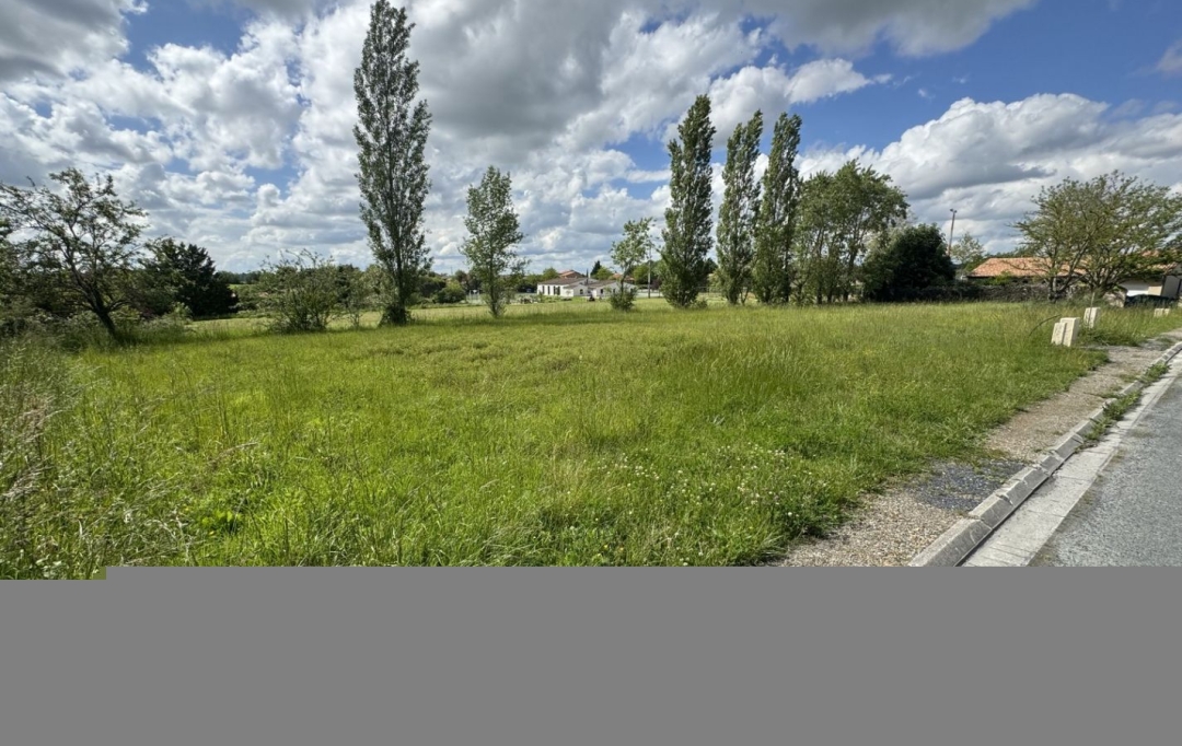 Résidences 81 : Terrain | DENAT (81120) | 0 m2 | 55 000 € 
