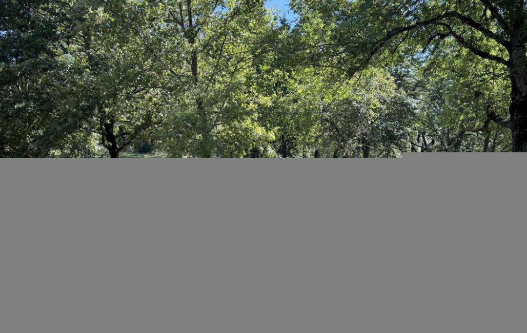 Résidences 81 : Maison / Villa | PUYGOUZON (81120) | 156 m2 | 139 100 € 