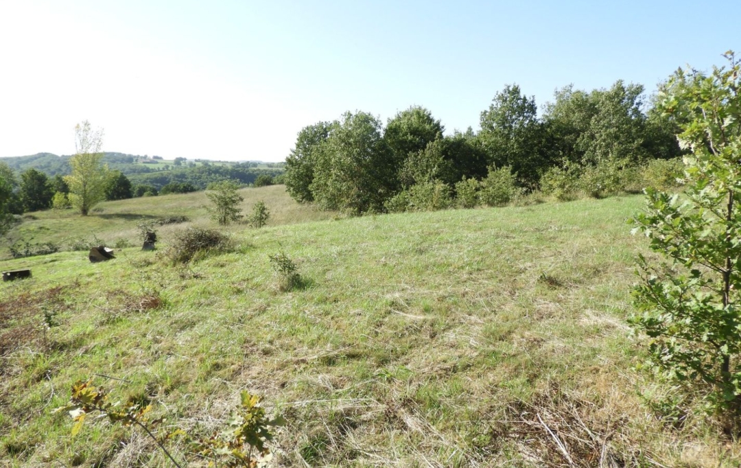 Résidences 81 : Terrain | REALMONT (81120) | 0 m2 | 55 000 &euro; 