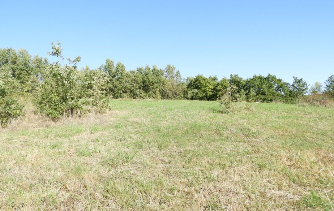 Résidences 81 : Terrain | REALMONT (81120) | 0 m2 | 55 000 &euro; 