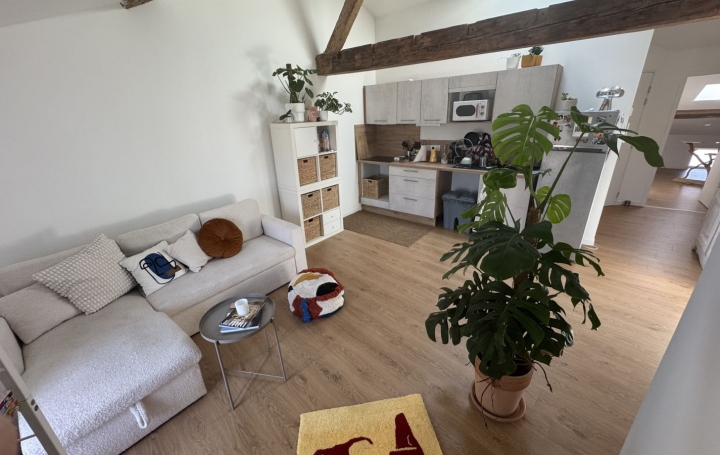  Résidences 81 Apartment | REALMONT (81120) | 47 m2 | 620 € 