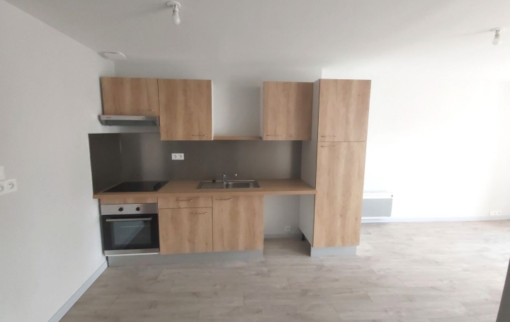 Appartement P2 REALMONT 49 m2 450 € Appartement P2 REALMONT 49 m2 450 €