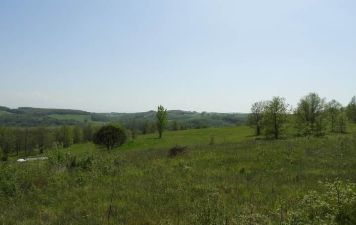 Terrain   REALMONT   55 000 € 